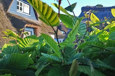 Ferienhaus mit Reetdach