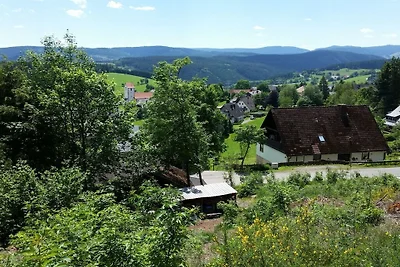 Dom w naturze - widok na Feldberg