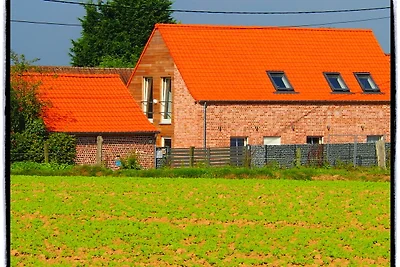 Ferienhaus mit Terrasse in Ellezelles
