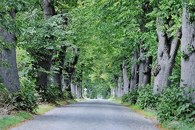 Appartement in Garz met fietsenstalling
