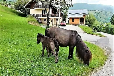 Chalet a Le Saut vicino agli impianti