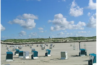 Alte Druckerei Ferienwohnung Gutenberg