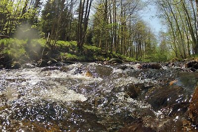 Doppelhaushälfte in Hasselfelde-ehem. TUI