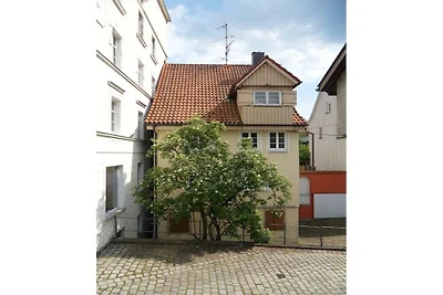 Visser - Eiland Lindau