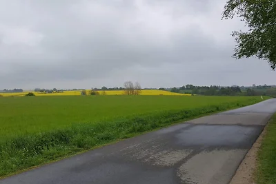 4 Sterne Ferienhaus in Hornsyld