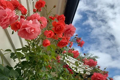 4 Sterne Ferienhaus in FÄRJESTADEN