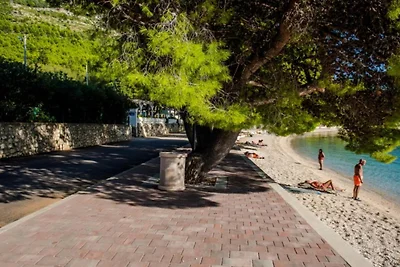One Bedroom Apartment with sea wiev 3