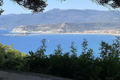 In de regio (zomer) (>5 km) In de regio (zomer) (>5 km)