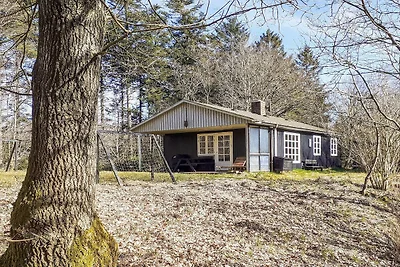 4 Personen Ferienhaus in Aars-By Traum