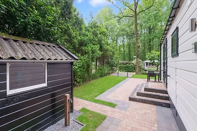 Schönes Chalet in Drenthe mit...