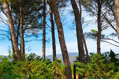 Golf Valescure - Saint Raphaël