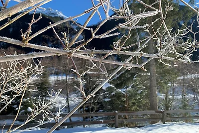 Appartement in Fulpmes op de Stubaier...