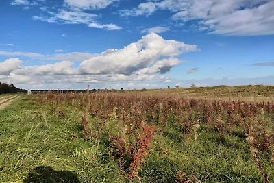 12 persone case ad Væggerløse-By Traum