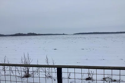 6 Personen Ferienhaus in Dannemare