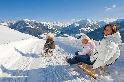 Apartment in Reith im Alpbachtal beim Skigebi...