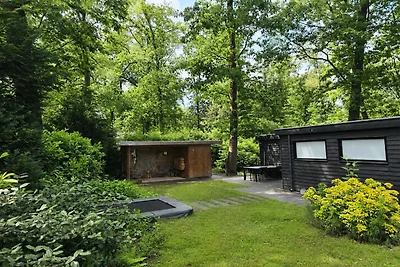 Skandinavische Waldhütte in Twente