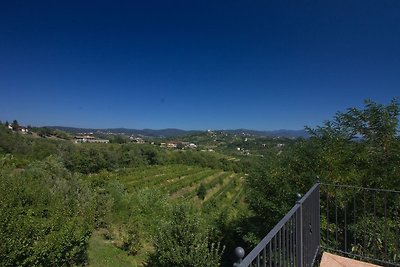 Schönes Appartement in Vipolže mit Schwimmbad