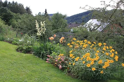 Ferienhaus Erholungsurlaub Olef