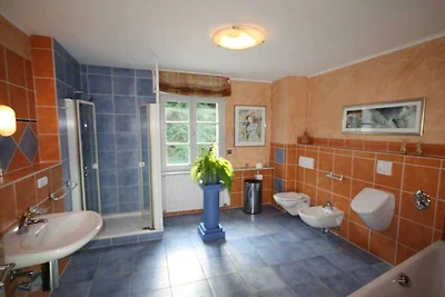 Vakantieappartement met 1 slaapkamer