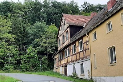 Schilderachtig appartement in Bergk met tuin