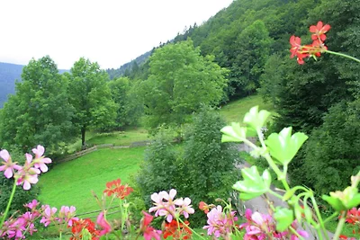 Appartamento a Brandenberg con terrazza