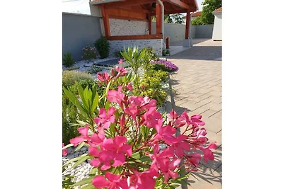 Villa in Marcana mit Schwimmbecken