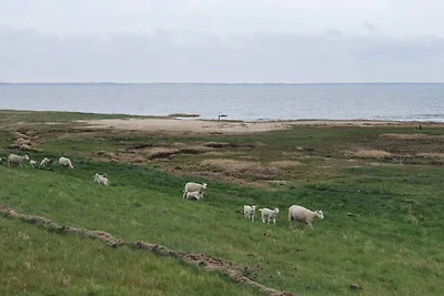 6 Personen Ferienhaus in Rømø-By Traum