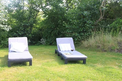 Dünenstern Wangerooge