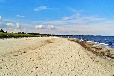 Luxuriöser Strandurlaub in Væggerløse