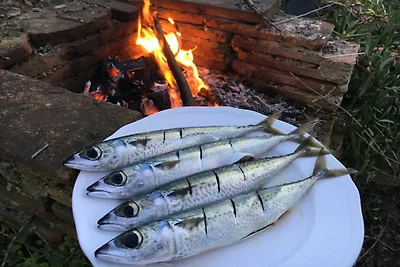 Villa in rio elba mit Barbecue und Wifi