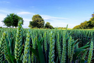 Charmantes Fischerhaus -- By Traum...