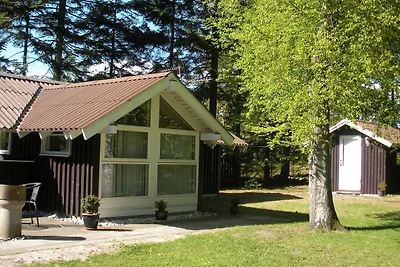 4 Personen Ferienhaus in Jerup-By Traum