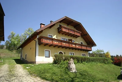 Appartamento in Carinzia vicino all'area...