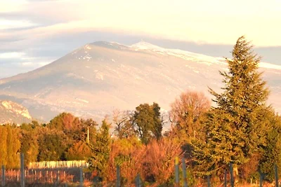 Stupenda yurta della mongola in Provenza