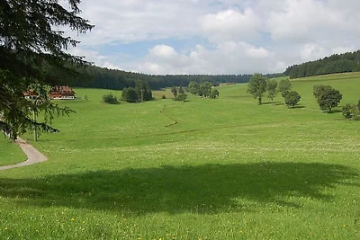Ferienhaus mit 1 Schlafzimmer