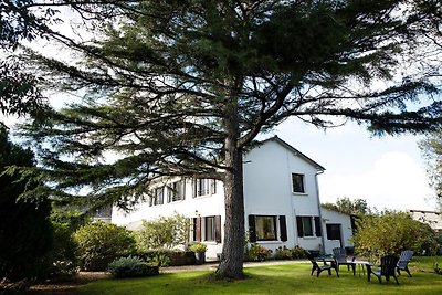 Ferienhaus nur 2km vom Strand von Tréveneuc...