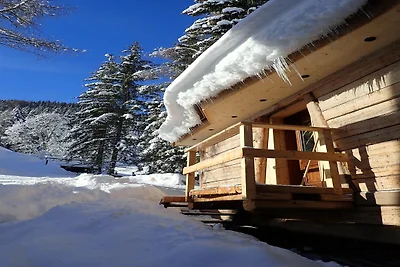 Cascina a Weißpriach vicino ai laghi