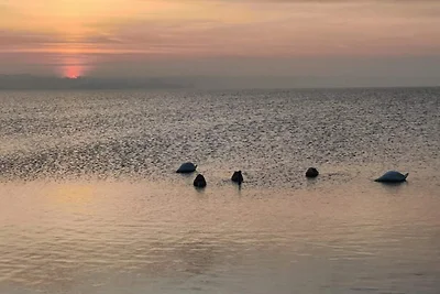 6-Personen-Haus in Ærøskøbing-By