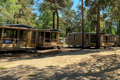 Chalet a Beekbergen vicino alla piscina