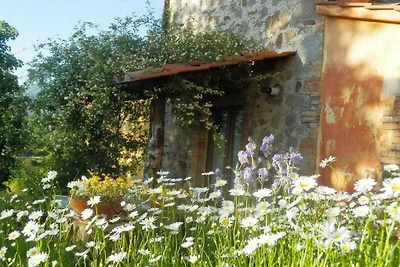 Podere di Maggio