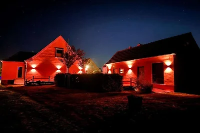 Ferienhaus in Penzlin mit Schwimmbecken