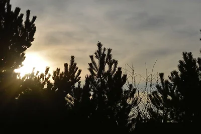 6 Personen Ferienhaus in Hadsund-By Traum