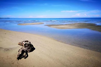 Schönes Appartement am schönen Strand von...