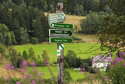 Ferienanlage Erzgebirgs Idyll, Breitenbrunn
