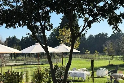 Casa nel Luberon con Spa e Piscina