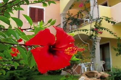 Apartment in Badus mit Gemeinschaftspool