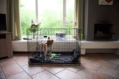 Hundefreundliches Familienhaus in...