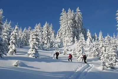 Schöne Wohnung in der Steiermark mit Sauna