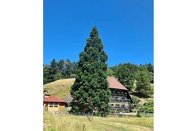Bauernhof mit 1 Schlafzimmer