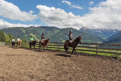 Großes Ferienhaus mit Blick ins Tal bei...